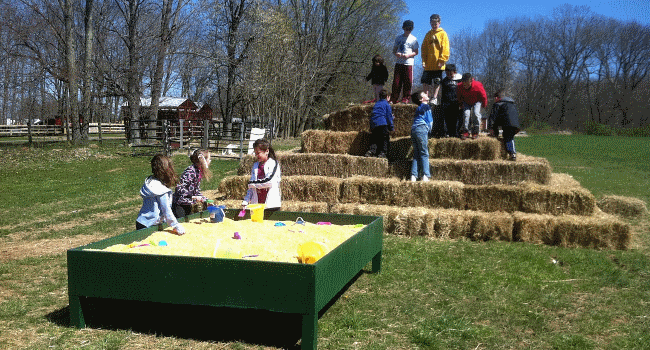Ort Farms in Long Valley, New Jersey kids party place