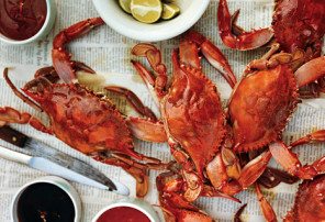 NJ Crabbing