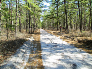 The Pinelands Preservation Act Of 1979