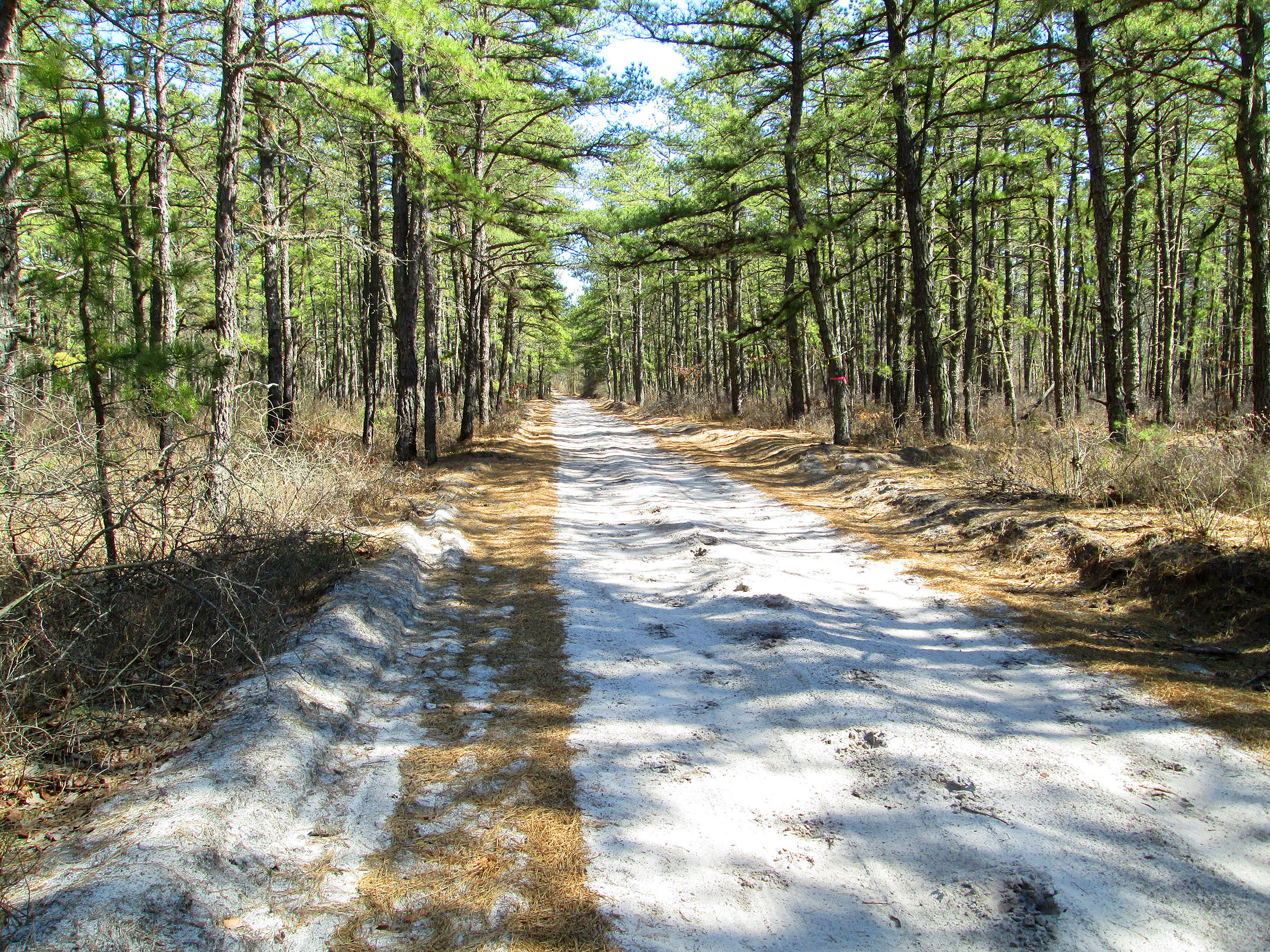 The Pinelands Preservation Act Of 1979