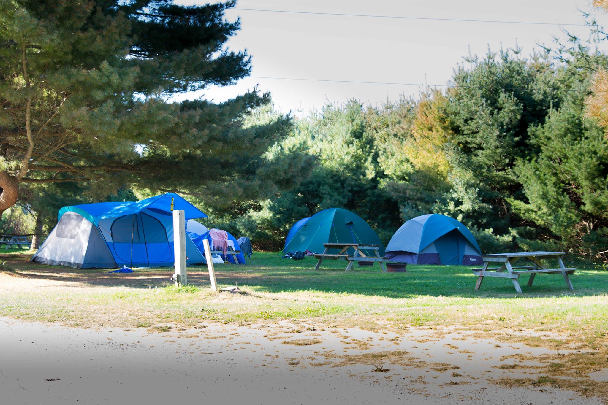 Image of three tents and two picnic tables at the Ponderosa Pines Family Campground in the Poconos PA